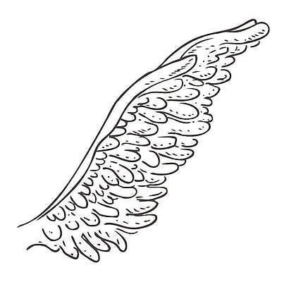 EPS 해외이미지 동물 손 디자인 티셔츠 날개 일러스트 조류 천사 요정 흑백 미술 장식 검은색 수확 골동품 흰색 쌍 우아함 낙서 스케치 문신 심볼 깃털 사인 그림 비둘기 복고 손그림 공상 마법 천국 고딕 고립 바로크 빅토리아 엘리먼트 옛날 스타일 해외일러스트 컬러 컨셉 셔츠 농업 문화예술 촬영기법 신체부위 파일형식 벡터 이미지허브