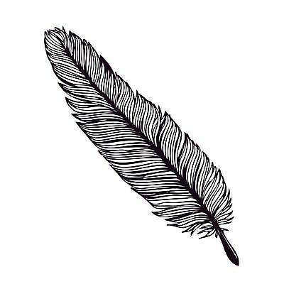 EPS 해외이미지 손 디자인 선 백그라운드 날개 일러스트 캘리그라피 자연 조류 잉크 미술 그래픽 장식 세트 펜 유행 라벨 수확 기록 낙서 공작 인쇄 스케치 수집 문신 심볼 깃털 사인 싱글 그림 복고 윤곽 문학 손그림 부족 고립 깃털펜 엘리먼트 활자 스타일 해외일러스트 동물 컨셉 농업 문화예술 프레임 신체부위 필기구 생태계 활자판 파일형식 벡터 이미지허브