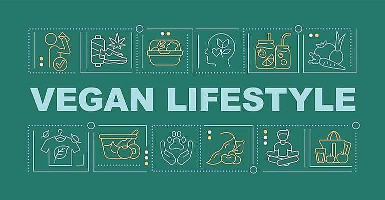 EPS 해외이미지 라이프스타일 디자인 선 백그라운드 컨셉 다이어트 일러스트 건강 타이포그라피 사람없음 단어 플랫 채식 채식주의자 비건 해외일러스트 문자 생활 파일형식 벡터 이미지허브