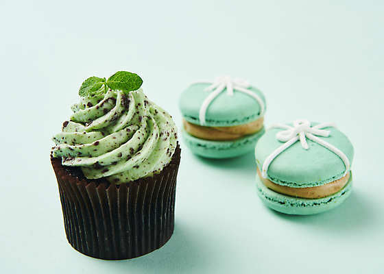 포토 JPG 스튜디오촬영 디저트 실내 사람없음 컵케이크 마카롱 애플민트 민트색배경 민트초코 국내포토 음식 백그라운드 내부 케이크 초콜릿 민트 민트색 파일형식