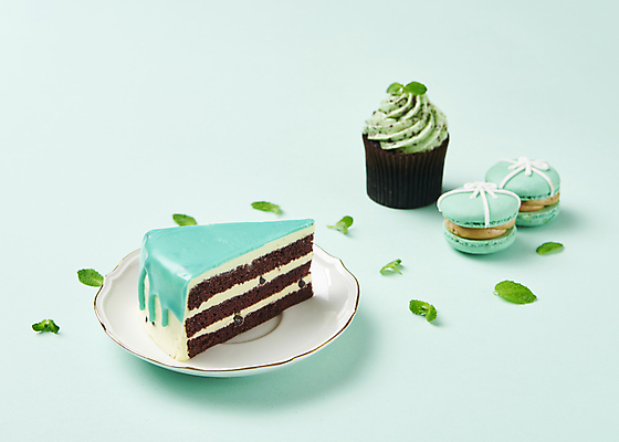 포토 JPG 스튜디오촬영 접시 디저트 실내 사람없음 조각케이크 컵케이크 마카롱 애플민트 민트색배경 민트초코 국내포토 식기 음식 백그라운드 내부 케이크 초콜릿 민트 민트색 파일형식