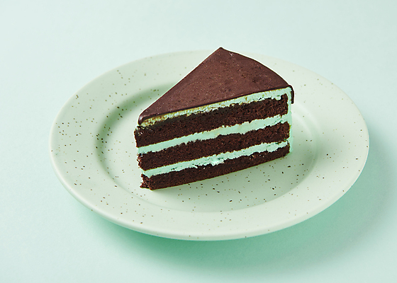 포토 JPG 스튜디오촬영 접시 디저트 실내 사람없음 한개 조각케이크 민트색배경 민트초코 국내포토 1 식기 음식 백그라운드 내부 케이크 초콜릿 민트색 파일형식