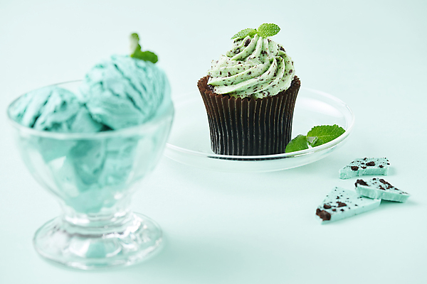 포토 JPG 스튜디오촬영 조각 아이스크림 디저트 실내 사람없음 초콜릿 소프트포커스 컵케이크 유리그릇 애플민트 유리접시 민트색배경 민트초코 국내포토 그릇 접시 음식 백그라운드 유리 촬영기법 내부 케이크 민트 민트색 파일형식