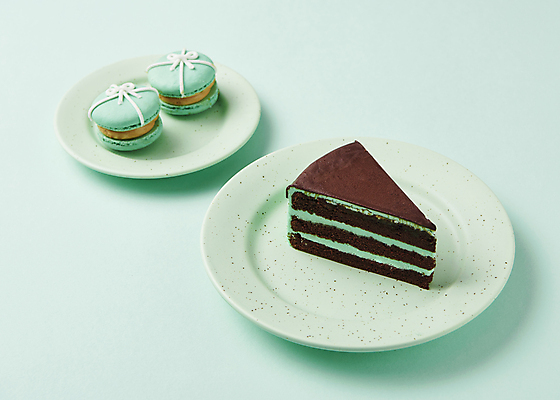 포토 JPG 스튜디오촬영 접시 디저트 실내 사람없음 조각케이크 마카롱 민트색배경 민트초코 국내포토 식기 음식 백그라운드 내부 케이크 초콜릿 민트색 파일형식