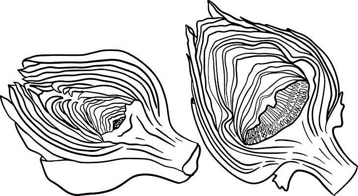 EPS 해외이미지 식물 라이프스타일 접시 디자인 꽃 음식 백그라운드 잎 농업 채소 일러스트 재료 요리 세트 지구본 저녁식사 이탈리아 수확 시골 신선 시장 오브젝트 그림 유기농 날것 고립 절임 비건 해외일러스트 식기 웰빙 유럽 산업 생활 식사 채식주의자 파일형식 벡터 이미지허브