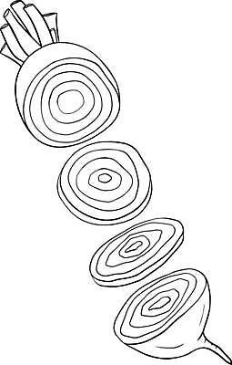 EPS 해외이미지 접시 음식 조각 백그라운드 다이어트 채소 과일 일러스트 재료 건강 미술 빨간색 농장 정원 보라색 식사 저녁식사 수확 흰색 신선 시장 맛 자르기 먹기 유기농 슬라이스 뿌리 점심식사 고립 비트 디톡스 개조 비건 맛있는 해외일러스트 식기 웰빙 컬러 컨셉 농업 모션 문화예술 채식주의자 파일형식 벡터 이미지허브