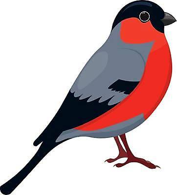 JPG 해외이미지 일러스트 조류 사람없음 빨간색 귀여움 해외일러스트 동물 컬러 컨셉 파일형식 이미지허브