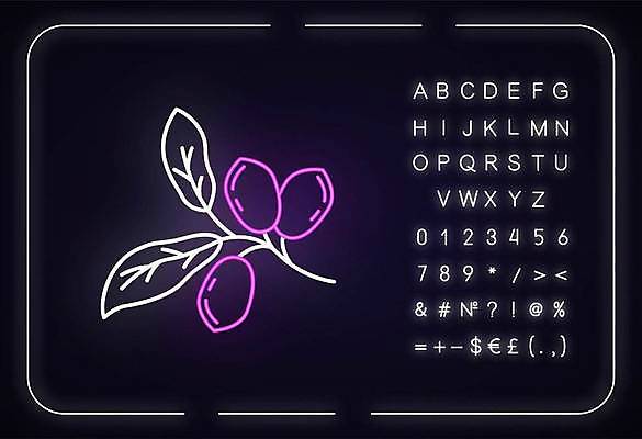 EPS 해외이미지 알파벳 열매 선 백그라운드 일러스트 타이포그라피 사람없음 나뭇가지 풀잎 화려 심볼 네온 형광등 해외일러스트 나무 식물 문자 영어 컨셉 잎 전등 풀_식물 파일형식 벡터 이미지허브