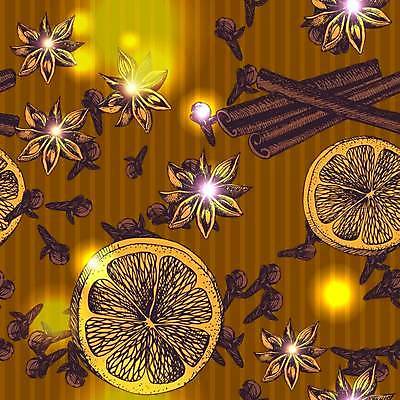 EPS 해외이미지 크리스마스 오렌지 일러스트 사람없음 갈색 스케치 시나몬스틱 팔각회향 해외일러스트 기념일 컬러 과일 미술 향신료 시나몬 파일형식 벡터 이미지허브