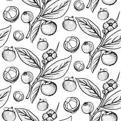 EPS 해외이미지 음식 조각 과일 일러스트 건강 동양인 신선 달콤 맛 스케치 먹기 메뉴 상쾌 유기농 날것 손그림 내추럴 고립 숙성 이국적 채식주의자 비건 맛있는 해외일러스트 웰빙 감정 컨셉 모션 미술 인종 채식 파일형식 벡터 이미지허브