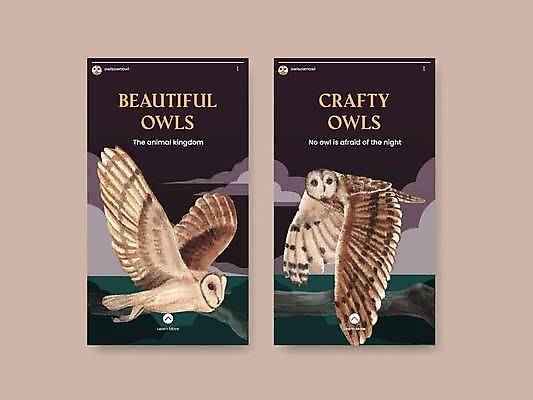 EPS 해외이미지 바다 두마리 일러스트 사람없음 세트 비행 날갯짓 올빼미 소셜네트워크 소셜미디어 해외일러스트 2 조류 파일형식 벡터 이미지허브