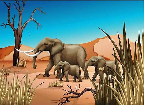 EPS 해외이미지 나무 식물 동물 일러스트 포유류 하늘 코끼리 풍경 그래픽 큼 땅 그림 귀 멸종위기동물 매머드 땅바닥 초식 해외일러스트 바닥 신체부위 크기 파일형식 벡터 멸종위기종 이미지허브