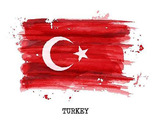 EPS 해외이미지 디자인 교육 종이 백그라운드 패턴 일러스트 비즈니스 추상 수채화 잉크 미술 물 페인트 수확 흰색 깃발 점 얼룩 플랫 중앙 떨어짐 심볼 사인 대륙 그림 질감 분무기 동쪽 칠면조 애국심 고립 그런지 전국 튀르키예 해외일러스트 자연요소 아시아 컬러 컨셉 무늬 농업 조류 문화예술 방향 파일형식 벡터 이미지허브