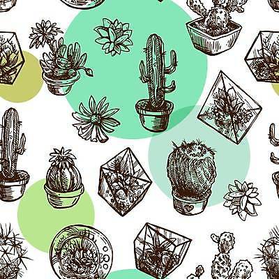 EPS 해외이미지 디자인 꽃 일러스트 선인장 사람없음 장식 초록색 스케치 스타일 해외일러스트 식물 컬러 미술 파일형식 벡터 이미지허브