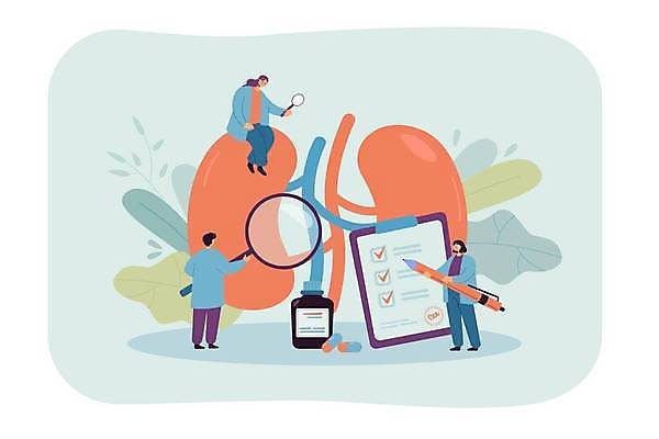 EPS 해외이미지 템플릿 캐릭터 디자인 배너 과학 백그라운드 컨셉 일러스트 비즈니스 건강 병원 사람 내부 그래픽 약 웹 시험 환자 의사 오르간 신장 플랫 질병 만화 약국 심볼 확인 페이지 시스템 외과 고립 엘리먼트 착륙 해외일러스트 일러캐릭터 교육 인터넷 의학 의료진 건반악기 비뇨기관 파일형식 벡터 직업 악기 건반 장기 음악 신체 문화예술 이미지허브