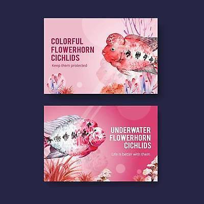 EPS 해외이미지 분홍색 일러스트 수채화 어류 사람없음 반려동물 산호 수족관 해외일러스트 동물 컬러 수중동물 자포동물 파일형식 벡터 이미지허브