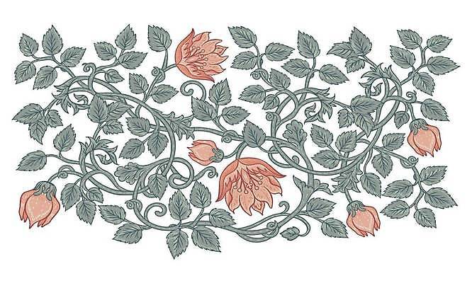 EPS 해외이미지 식물 손 디자인 꽃 잎 꽃무늬 패턴 일러스트 자연 영국 잉글랜드 그래픽 장식 세트 정원 수확 벚꽃 흰색 화려 개화 중세 클래식 우아함 수집 허브 보따리 그림 복고 손그림 판화 고립 빅토리아 엘리먼트 디테일 해외일러스트 유럽 컬러 컨셉 무늬 농업 미술 신체부위 역사 생태계 파일형식 벡터 이미지허브