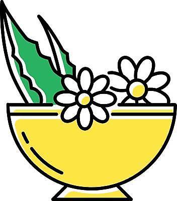 EPS 해외이미지 그릇 꽃 일러스트 선인장 사람없음 노란색 해외일러스트 식물 식기 컬러 파일형식 벡터 이미지허브