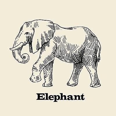 EPS 해외이미지 일러스트 코끼리 사람없음 스케치 그림 해외일러스트 포유류 미술 파일형식 벡터 이미지허브
