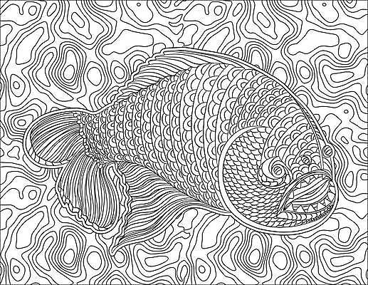 EPS 해외이미지 동물 디자인 문화 음식 파도 백그라운드 패턴 일러스트 자연 추상 흑백 어류 성인 컴퓨터그래픽 장식 물 여름 바닷속 수중 수영 줄무늬 직물 화려 낙서 만화 스케치 문신 심볼 해산물 그림 윤곽 색칠공부 열대기후 해외일러스트 자연요소 계절 바다 컨셉 무늬 촬영기법 미술 사람 그래픽 학습 수중동물 수상스포츠 색칠 생태계 파일형식 벡터 이미지허브