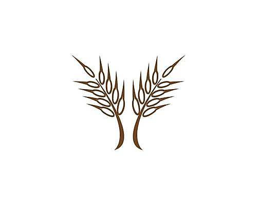 EPS 해외이미지 식물 디자인 배너 음식 빵 백그라운드 농업 다이어트 일러스트 자연 밥 건조 건강 옥수수 씨앗 농작물 농장 노란색 라벨 수확 성장 흰색 신선 시장 황금 상품 낟알 시리얼 밀 먹기 심볼 사인 유기농 보리 귀 밀가루 스파이크 내추럴 고립 밭일 엘리먼트 귀리 해외일러스트 웰빙 산업 컬러 모션 곡류 프레임 신체부위 가루 생태계 파일형식 벡터 이미지허브