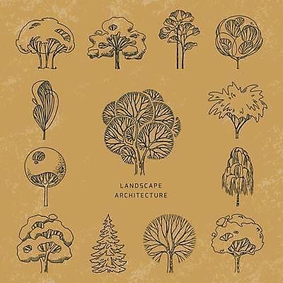 EPS 해외이미지 나무 디자인 라인일러스트 일러스트 자연 사람없음 세트 갈색 스케치 엘리먼트 해외일러스트 식물 컬러 미술 생태계 파일형식 벡터 이미지허브
