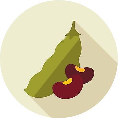 EPS 해외이미지 식물 디자인 음식 농업 채소 일러스트 재료 콩 건강 요리 씨앗 초록색 수확 신선 플랫 유기농 강낭콩 내추럴 고립 꼬투리 채식주의자 해외일러스트 웰빙 산업 컬러 곡류 채식 파일형식 벡터 이미지허브