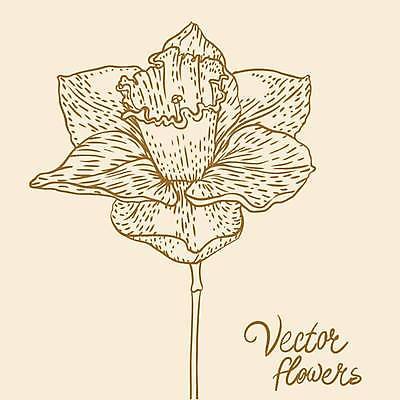 EPS 해외이미지 식물 손 디자인 꽃잎 꽃 실루엣 종이 백그라운드 꽃무늬 패턴 일러스트 자연 잉크 미술 그래픽 장식 연필 펜 정원 수확 벚꽃 나뭇가지 우아함 스케치 심볼 싱글 그림 복고 판화 고립 바로크 엘리먼트 옛날 타격 디테일 해외일러스트 나무 컨셉 무늬 농업 모션 문화예술 학용품 촬영기법 신체부위 필기구 생태계 파일형식 벡터 이미지허브