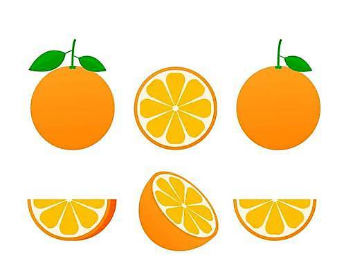 EPS 해외이미지 나무 디자인 음료 음식 조각 백그라운드 잎 패턴 다이어트 오렌지 과일 일러스트 자연 추상 귤 건강 미술 빨간색 물 여름 세트 주스 신선 원형 달콤 맛 떨어짐 자르기 수집 오브젝트 메뉴 유기농 날것 모음 비타민 내추럴 고립 숙성 엘리먼트 채식주의자 해외일러스트 자연요소 도형 식물 웰빙 계절 컬러 컨셉 무늬 모션 문화예술 생태계 채식 영양소 파일형식 벡터 이미지허브