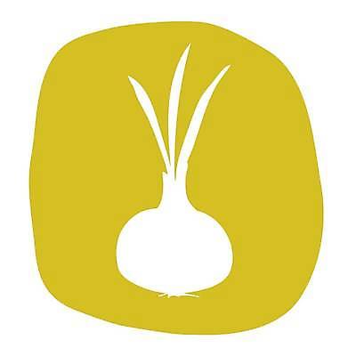 EPS 해외이미지 디자인 알파벳 교육 포스터 어린이 음식 백그라운드 채소 일러스트 학교 양파 아이디어 미술 책 여름 학습 컬러풀 노란색 정원 주스 유치원 샐러드 가을 신용카드 플랫 심볼 사인 내추럴 고립 스무디 채식주의자 비건 맛있는 해외일러스트 영어 계절 음료 컬러 컨셉 문화예술 사람 금융 채식 파일형식 벡터 이미지허브