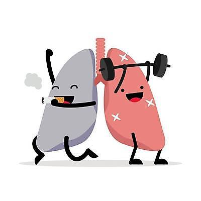 EPS 해외이미지 무료이미지 캐릭터 일러스트 흡연 담배 건강 들기 사람없음 운동 건강관리 비교 허파 호흡기관 역기 해외일러스트 일러캐릭터 컨셉 모션 관리 장기_의학 파일형식 벡터 무료콘텐츠 이미지허브