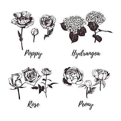 EPS 해외이미지 식물 디자인 꽃 실루엣 선 꽃다발 결혼 백그라운드 잎 꽃무늬 패턴 일러스트 자연 잉크 미술 그래픽 장식 세트 장미 유행 검은색 봄 낭만 수확 벚꽃 흰색 나뭇가지 화려 스케치 다발 수집 그림 복고 양귀비 수국 고립 작약 해외일러스트 나무 계절 컬러 컨셉 무늬 농업 문화예술 촬영기법 이벤트 생태계 파일형식 벡터 이미지허브