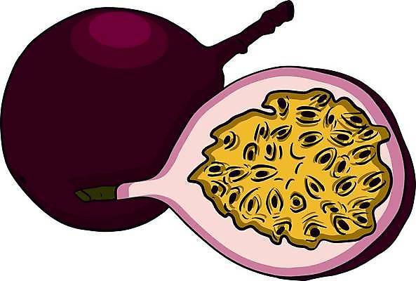 EPS 해외이미지 식물 라이프스타일 음식 조각 잎 과일 일러스트 재료 자연 디저트 건강 세트 라벨 보라색 수확 나뭇가지 신선 달콤 맛 스케치 자르기 수집 먹기 메뉴 그림 유기농 열정 손그림 고립 숙성 이국적 채식주의자 디테일 비건 해외일러스트 나무 웰빙 감정 컬러 컨셉 농업 모션 프레임 미술 생활 생태계 채식 파일형식 벡터 이미지허브