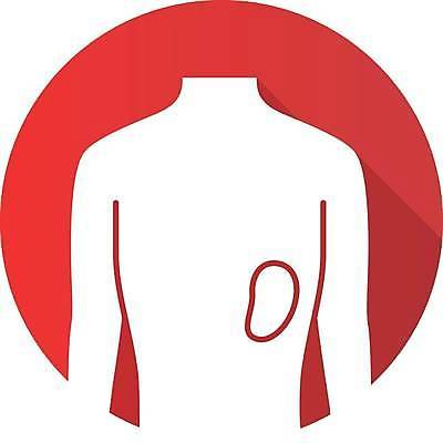 EPS 해외이미지 클립아트 모양 디자인 컨셉 신체 일러스트 부분 해부 생물 건강 사람 내부 픽토그램 약 웹 최고 오르간 플랫 심볼 사인 생물학 시스템 면역력 상형문자 엘리먼트 지라 항목 해외일러스트 문자 교육 인터넷 의학 건반악기 파일형식 벡터 이미지허브