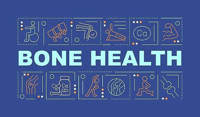 EPS 해외이미지 디자인 선 백그라운드 컨셉 신체 일러스트 근육 뼈 건강 타이포그라피 사람없음 단어 운동 약 플랫 척추 칼슘 해외일러스트 문자 의학 파일형식 벡터 이미지허브