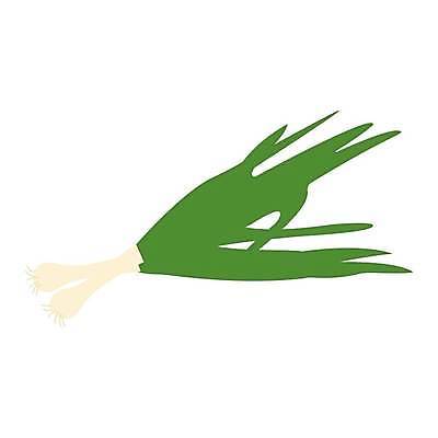 EPS 해외이미지 식물 음식 줄기 백그라운드 잎 농업 다이어트 채소 일러스트 재료 전구 자연 양파 건강 마늘 요리 그래픽 초록색 봄 샐러드 흰색 신선 고명 플랫 맛 만화 자르기 다발 허브 그림 유기농 날것 뿌리 부추 파 비타민 내추럴 쪽파 고립 숙성 채식주의자 개조 비건 해외일러스트 웰빙 계절 산업 컬러 컨셉 모션 생태계 채식 영양소 파일형식 벡터 이미지허브