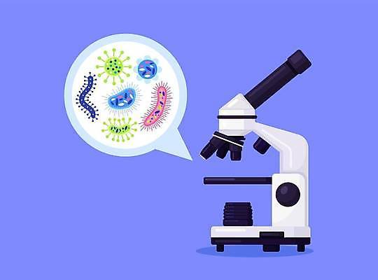 EPS 해외이미지 말풍선 일러스트 현미경 실험 사람없음 확대 박테리아 해외일러스트 의학 실험기구 파일형식 벡터 이미지허브