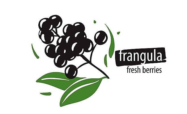 EPS 해외이미지 클립아트 열매 과일 일러스트 사람없음 검은색 심볼 베리 해외일러스트 식물 컬러 파일형식 벡터 이미지허브