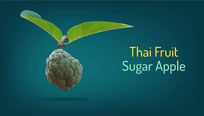 EPS 해외이미지 식물 아시아 종교 문화 음식 줄기 잎 과일 일러스트 재료 태국 자연 디저트 건강 씨앗 동양인 목재 세트 농장 성장 나뭇가지 신선 원형 달콤 맛 사과 설탕 오브젝트 유기농 커스터드 솔깃 현실 맛있는 해외일러스트 도형 나무 웰빙 나라 컨셉 농업 인종 크림 생태계 파일형식 벡터 이미지허브