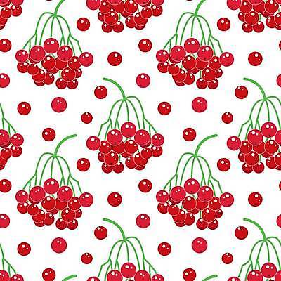 EPS 해외이미지 나무 식물 전통 디자인 배너 계절 열매 행복 포스터 종이 음식 백그라운드 패턴 일러스트 벽지 미술 장식 빨간색 수확 나뭇가지 투명 떨어짐 약초 타일 그림 복고 비네팅 엘리먼트 우크라이나 전국 반복 해외일러스트 감정 유럽 컬러 컨셉 무늬 농업 문화예술 촬영기법 풀_식물 파일형식 벡터 이미지허브