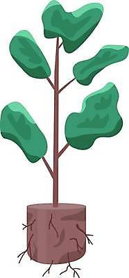 EPS 해외이미지 일러스트 나뭇잎 사람없음 흙 나뭇가지 원예 뿌리 묘목 분갈이 반려식물 해외일러스트 나무 식물 잎 취미 파일형식 벡터 이미지허브