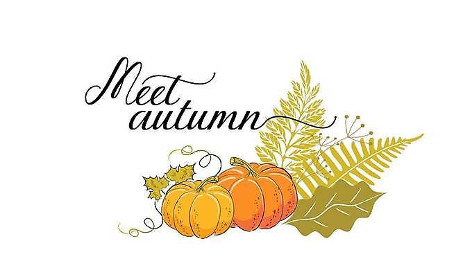 EPS 해외이미지 템플릿 손 계절 줄기 단풍 잎 채소 오렌지 일러스트 텍스트 호박 휴가 프레임 3 농작물 컬러풀 노란색 만남 수확 가을 9월 스케치 그림 심플 윤곽 박 판화 10월 고립 그런지 숙성 슬로건 조롱박 해외일러스트 식물 컬러 컨셉 농업 과일 미술 신체부위 날짜 파일형식 벡터 이미지허브