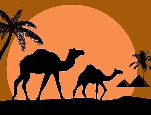 EPS 해외이미지 나무 동물 디자인 실루엣 아시아 모래 여행 백그라운드 오렌지 일러스트 아프리카 자연 하늘 조명 건조 따뜻함 이집트 손바닥 미술 풍경 야외 햇빛 태양 노란색 황혼 일몰 사막 뜨거움 야간 모래언덕 엽서 동쪽 사하라 단봉낙타 아랍어 이국적 스타일 해외일러스트 자연요소 식물 손 나라 컬러 과일 문화예술 촬영기법 노을 편지 방향 언덕 생태계 파일형식 벡터 이미지허브