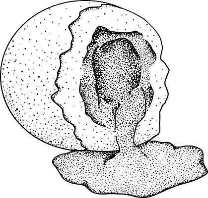 EPS 해외이미지 동물 디자인 선 빵 백그라운드 다이어트 일러스트 재료 자연 조류 아침 추상 건강 요리 미술 그래픽 장식 세트 농장 라벨 주방 식당 계란 검은색 식사 치킨 튀김 수확 신선 신용카드 낙서 상품 인쇄 스케치 오브젝트 메뉴 유기농 내추럴 고립 엘리먼트 해외일러스트 주간 웰빙 음식 컬러 무늬 농업 문화예술 프레임 금융 상점 알 생태계 닭고기요리 파일형식 벡터 이미지허브