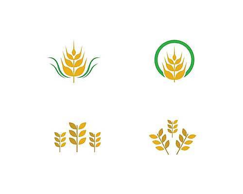 EPS 해외이미지 식물 디자인 배너 음식 빵 백그라운드 농업 다이어트 일러스트 자연 밥 건조 건강 옥수수 씨앗 농작물 농장 노란색 라벨 수확 성장 흰색 신선 시장 황금 상품 낟알 시리얼 밀 먹기 심볼 사인 유기농 보리 귀 밀가루 스파이크 내추럴 고립 밭일 엘리먼트 귀리 해외일러스트 웰빙 산업 컬러 모션 곡류 프레임 신체부위 가루 생태계 파일형식 벡터 사람 이미지허브