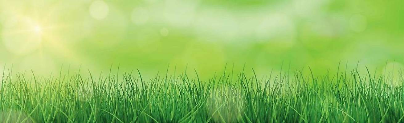 EPS 해외이미지 식물 구름 디자인 계절 공원 백그라운드 컨셉 잎 밭 일러스트 자연 하늘 추상 부활절 미술 풍경 잔디 초원 야외 초록색 여름 파란색 빛 컬러풀 햇빛 태양 환경 정원 맑음 봄 광선 시골 신선 땅 에코 보케 장면 내추럴 효과 해외일러스트 자연요소 공공시설 기념일 컬러 무늬 농업 날씨 문화예술 생태계 파일형식 벡터 이미지허브