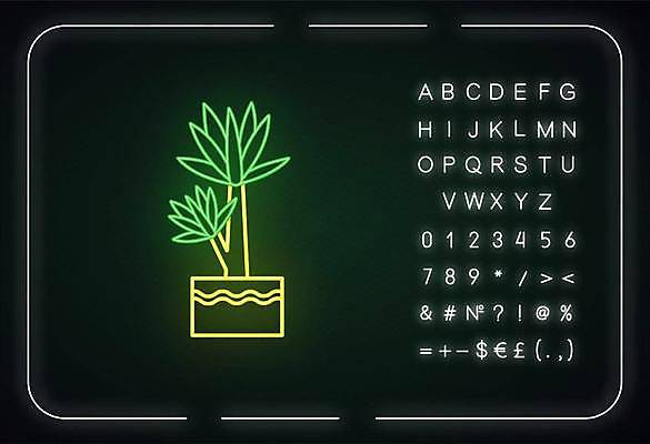 EPS 해외이미지 나무 알파벳 화분 선 백그라운드 잎 일러스트 타이포그라피 사람없음 화려 심볼 네온 형광등 해외일러스트 식물 문자 영어 컨셉 전등 파일형식 벡터 이미지허브