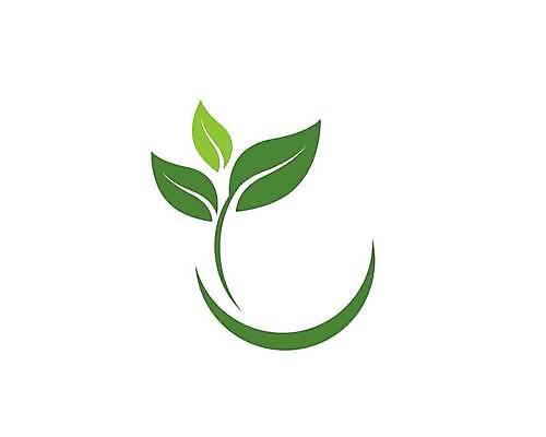 EPS 해외이미지 모양 식물 템플릿 디자인 꽃 실루엣 백그라운드 컨셉 잎 꽃무늬 일러스트 회사 비즈니스 자연 추상 건강 미술 그래픽 장식 초록색 세트 새싹 환경 웹 봄 신선 플랫 보호 수집 심볼 사인 에코 유기농 내추럴 고립 생태학 엘리먼트 해외일러스트 웰빙 계절 교육 컬러 무늬 인터넷 문화예술 촬영기법 생태계 파일형식 벡터 이미지허브