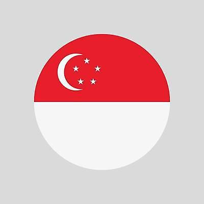 EPS 해외이미지 모양 디자인 배너 아시아 여행 백그라운드 일러스트 세계 글로벌 흰색 깃발 원형 심볼 사인 배지 광택 애국심 싱가폴 고립 전국 지리 회원 해외일러스트 도형 나라 컬러 파일형식 벡터 이미지허브