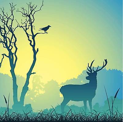 EPS 해외이미지 나무 실루엣 밭 일러스트 조류 사슴 뿔 달러 안개 나뭇가지 시골 숲 방목 바퀴자국 순록 암사슴 엘크 해외일러스트 식물 동물 돈 농업 포유류 자국 날씨 촬영기법 축산업 암컷 파일형식 벡터 이미지허브